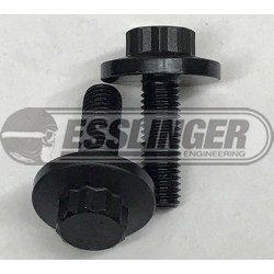 Duratec / Ecoboost Cam Bolts