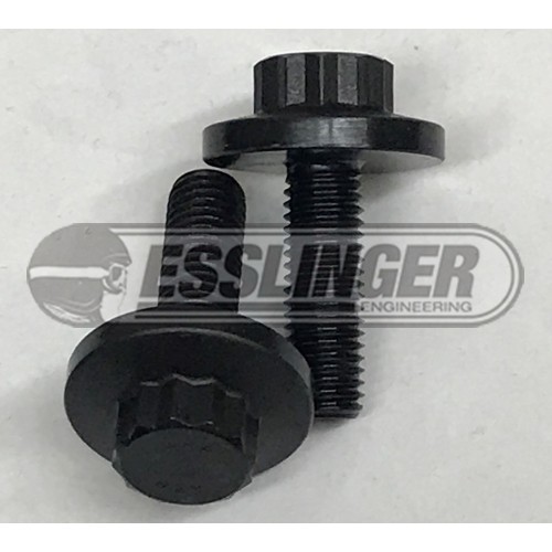 Duratec / Ecoboost Cam Bolts