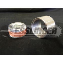 Oil Pan Sight Plug & Bung Kit
