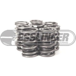 Dual Valve Springs for Solid Roller Cams