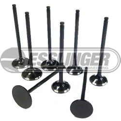 Duratec Flat Face Intake Valve