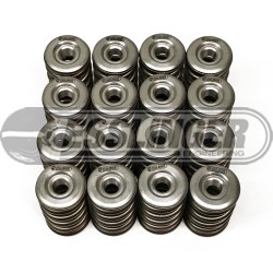 SPORT CAMS Ti-retainer valvespring kit