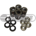 Pro-Series Duratec Dual Valvespring kit Pro-Series Duratec Dual Valvespring kit